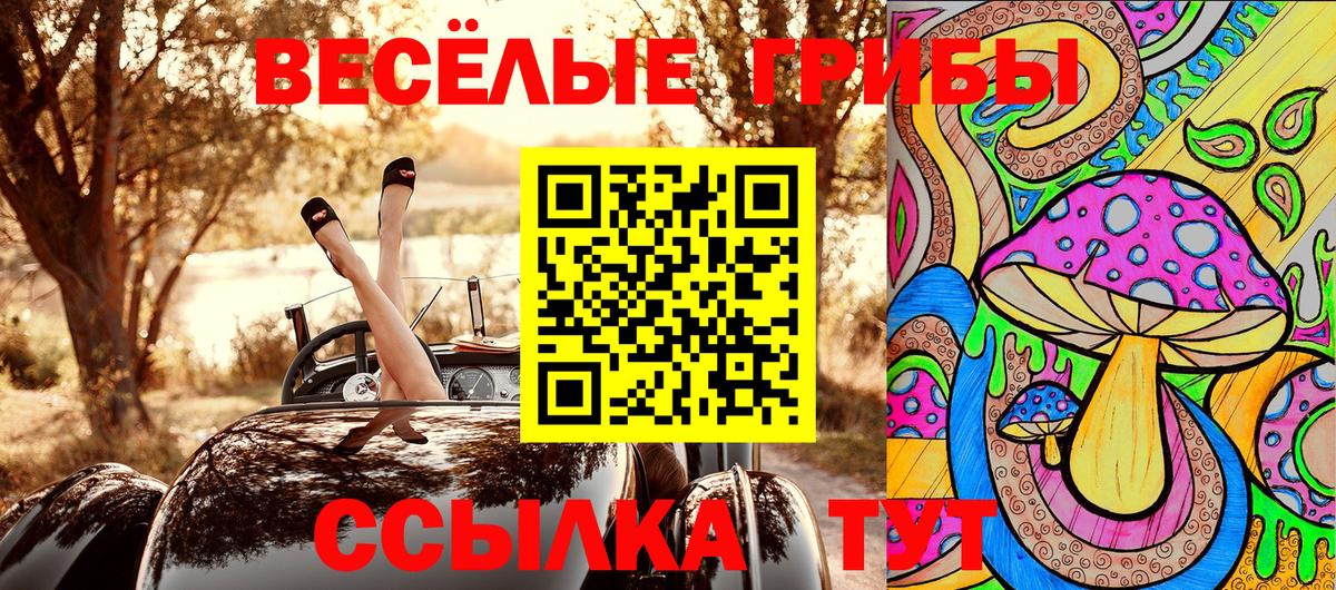 Галлюциногенные грибы Psilocybine cubensis  Вход с VPN  Галлюциногенные грибы мухоморы  Щёкино 